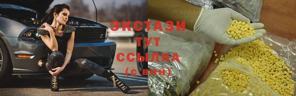 гидра Алексин