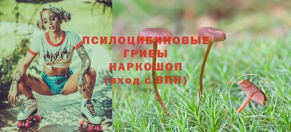 гашик Абинск