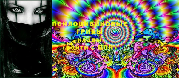 гидра Алексин
