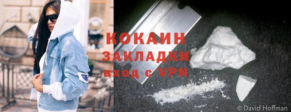 индика Алексеевка