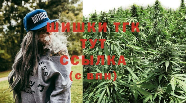 гидра Алексин