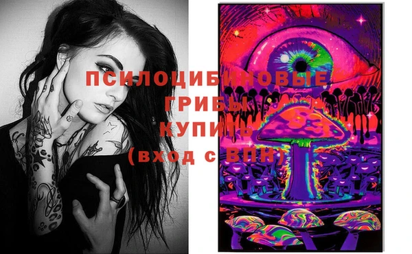 mix Карпинск
