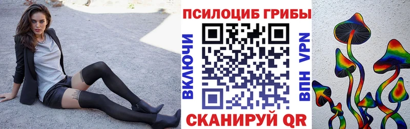 Галлюциногенные грибы Psilocybe  Ачхой-Мартан 